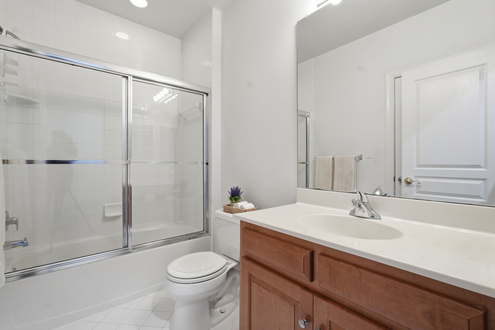 Lower Level Bathroom