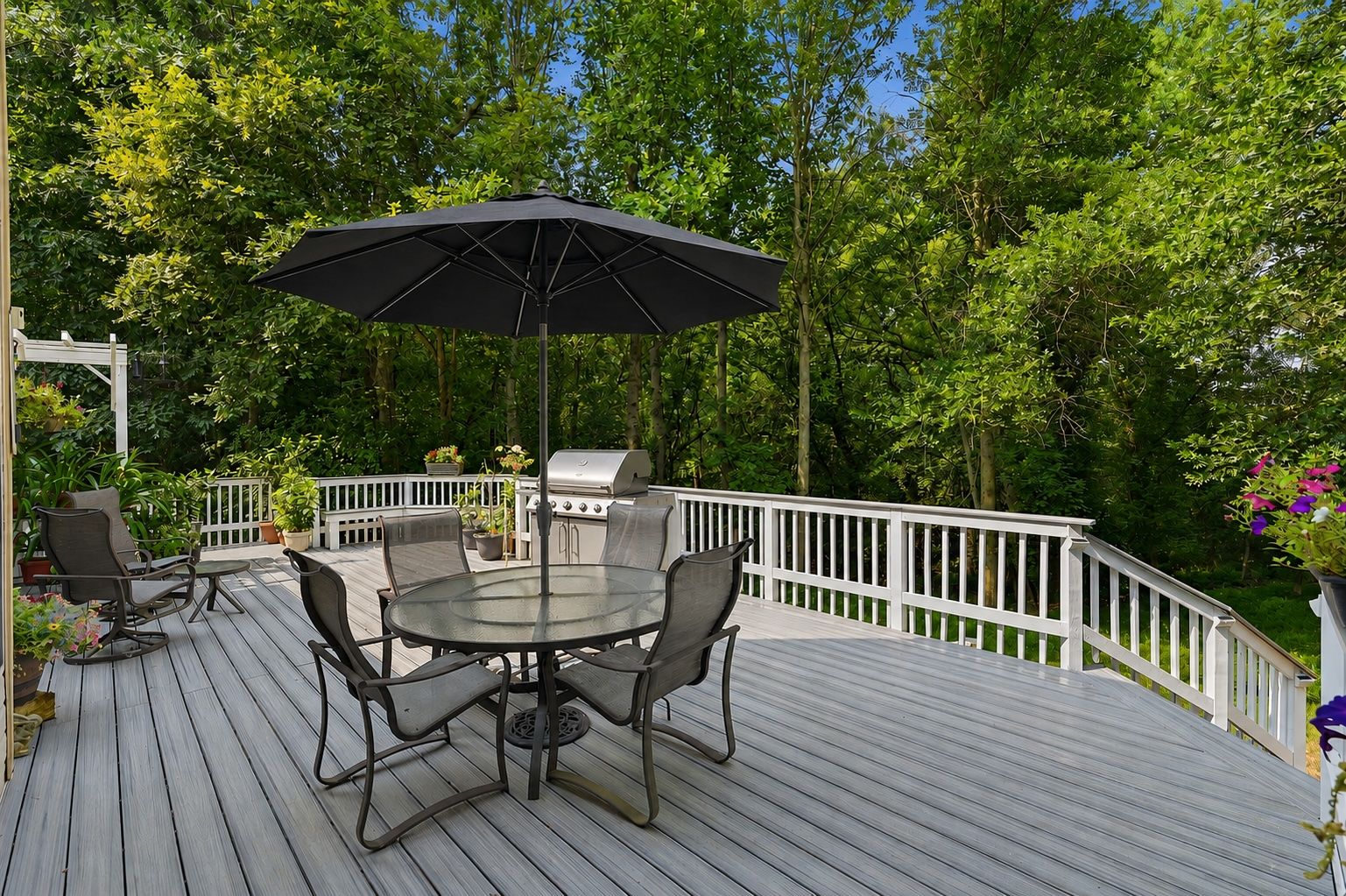 Rear Deck overlooking Forest Conservation