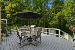 Rear Deck overlooking Forest Conservation