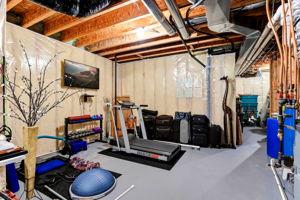  Photo 49