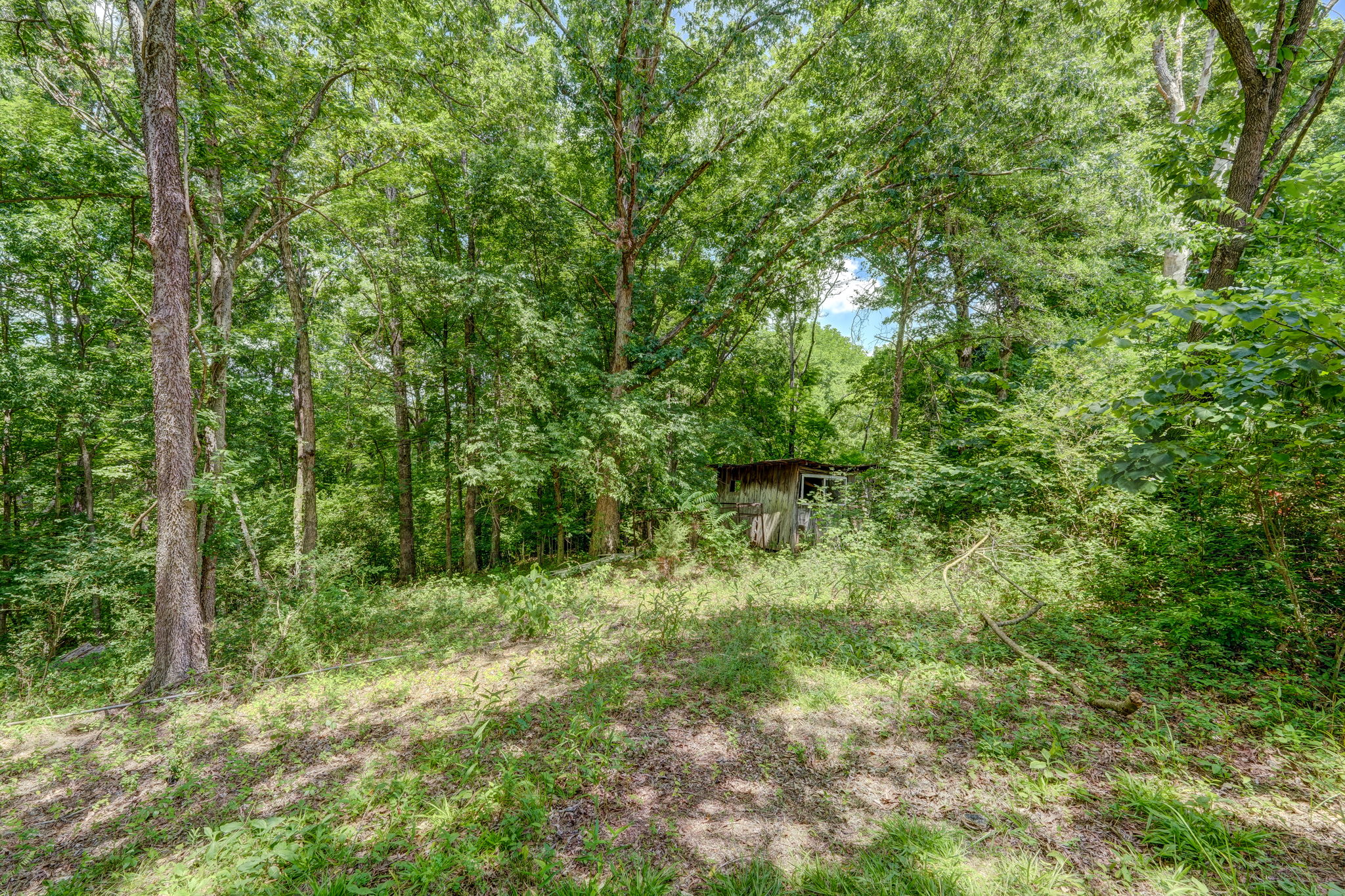 Chicken House