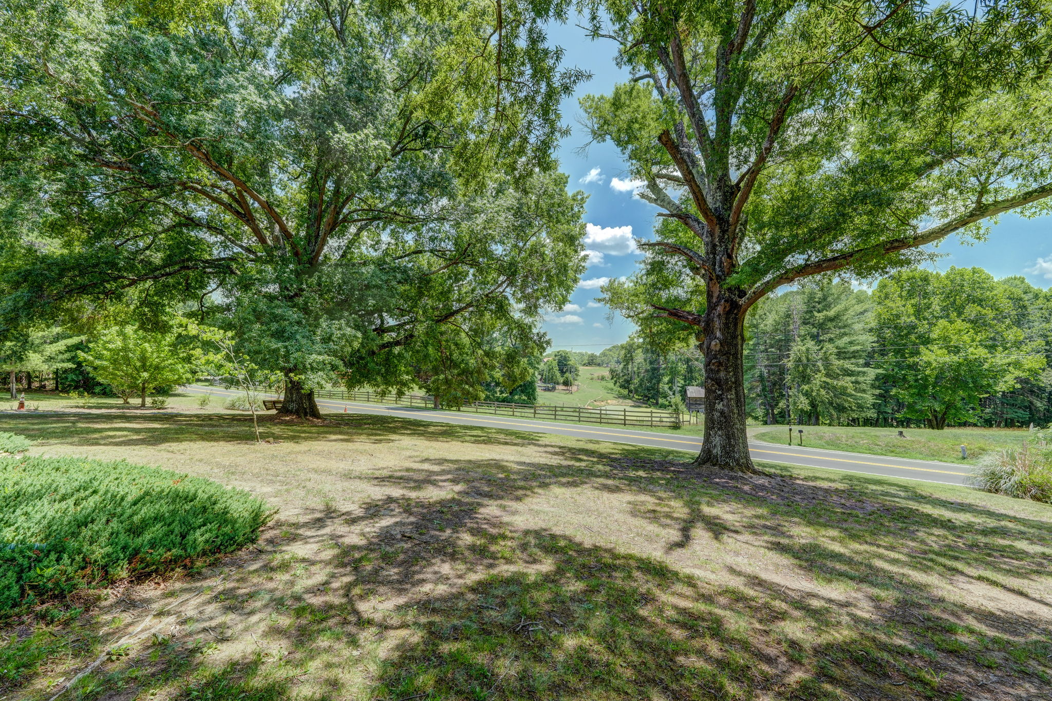 Front Yard