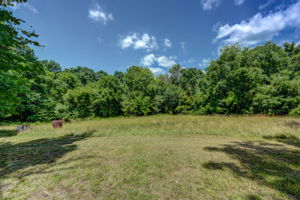Field