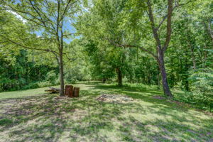Side Yard