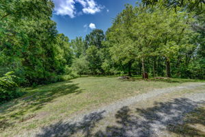 Side Yard