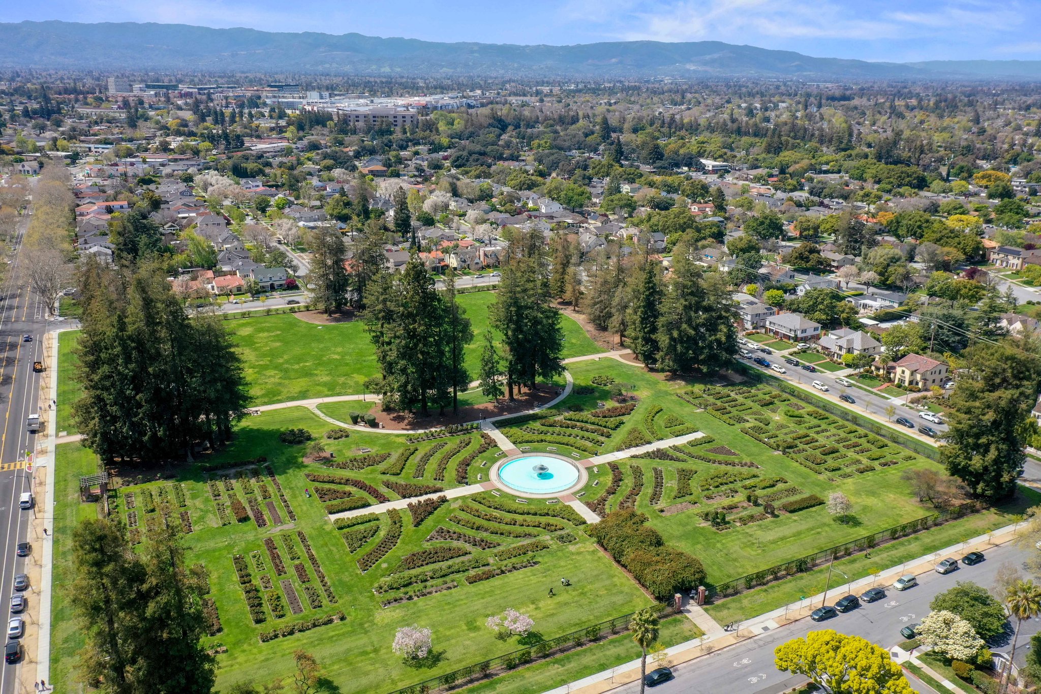 Rose Garden