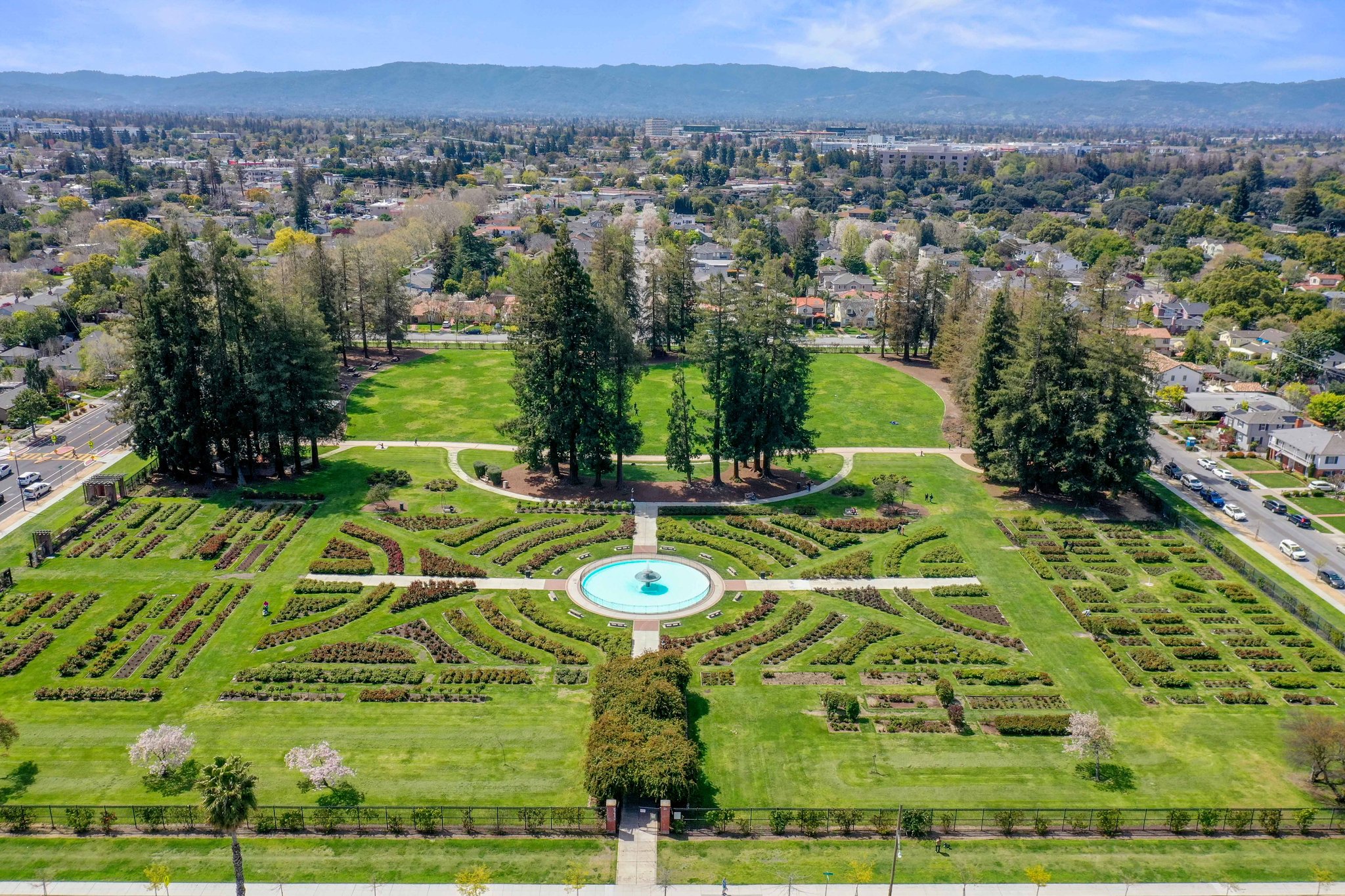 Rose Garden