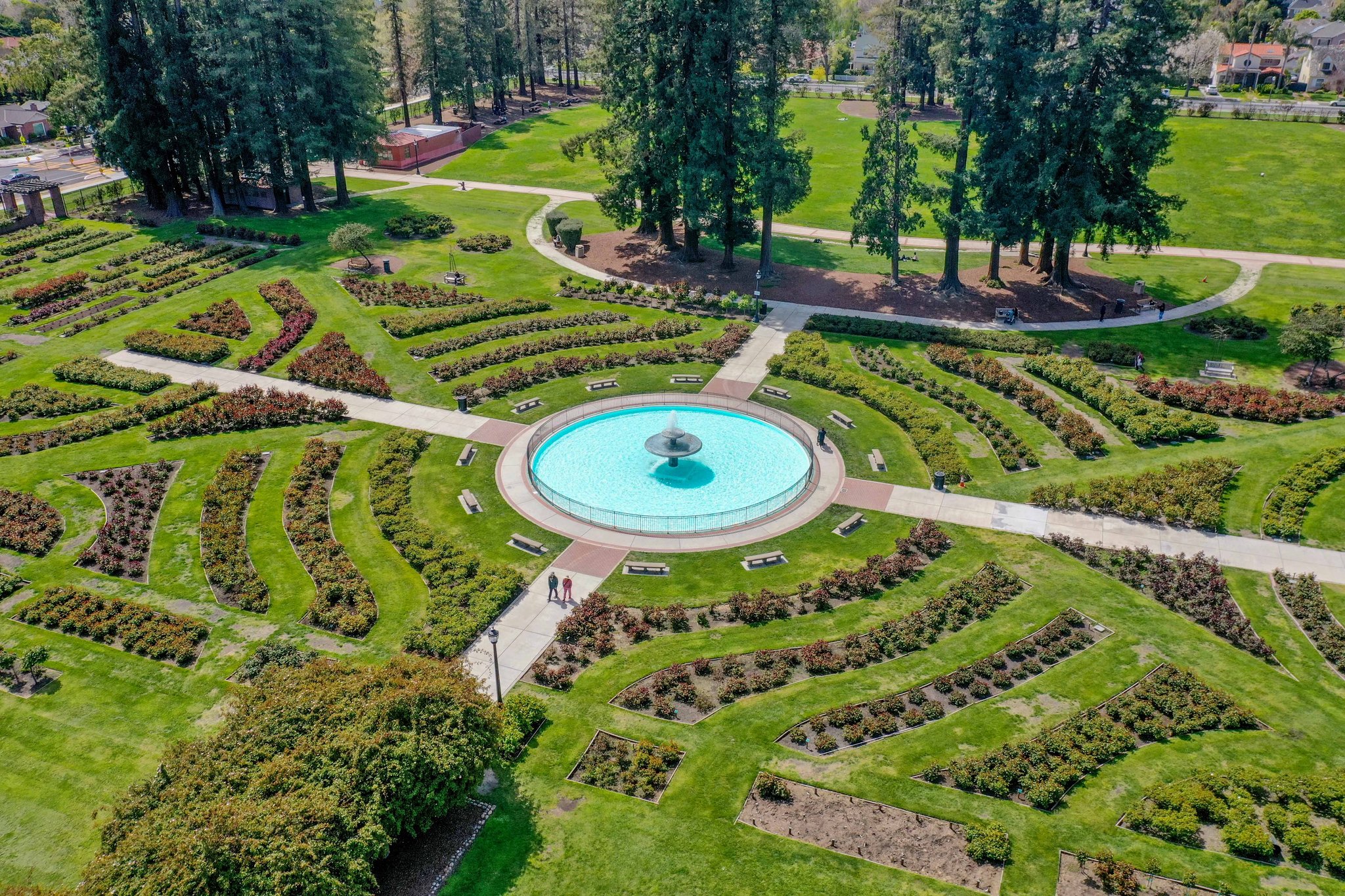 Rose Garden