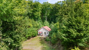  Photo 0