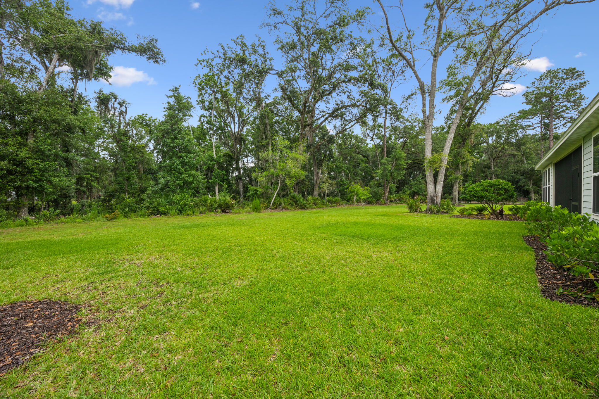 Backyard