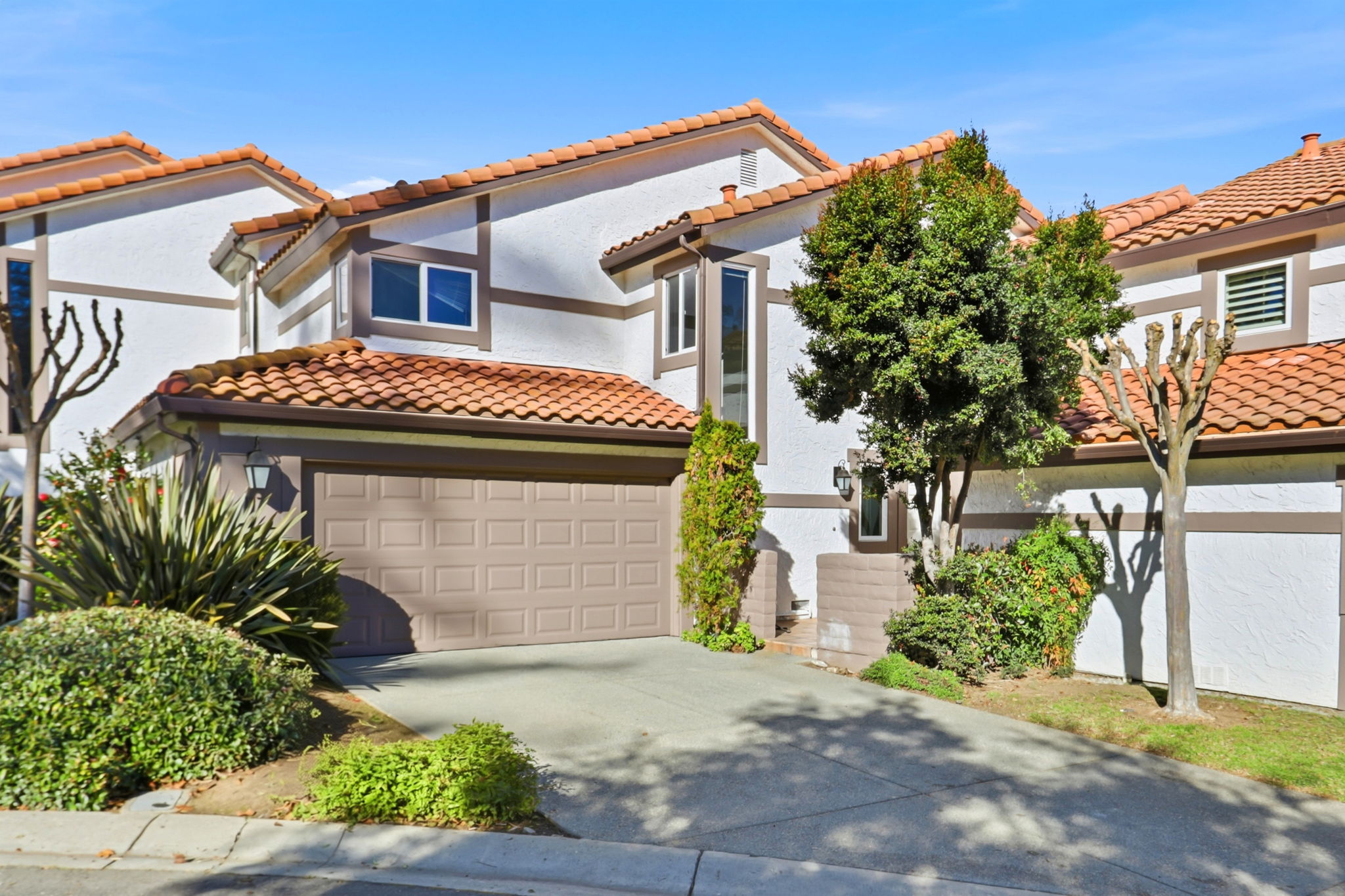 002_f8_117 El Olivar