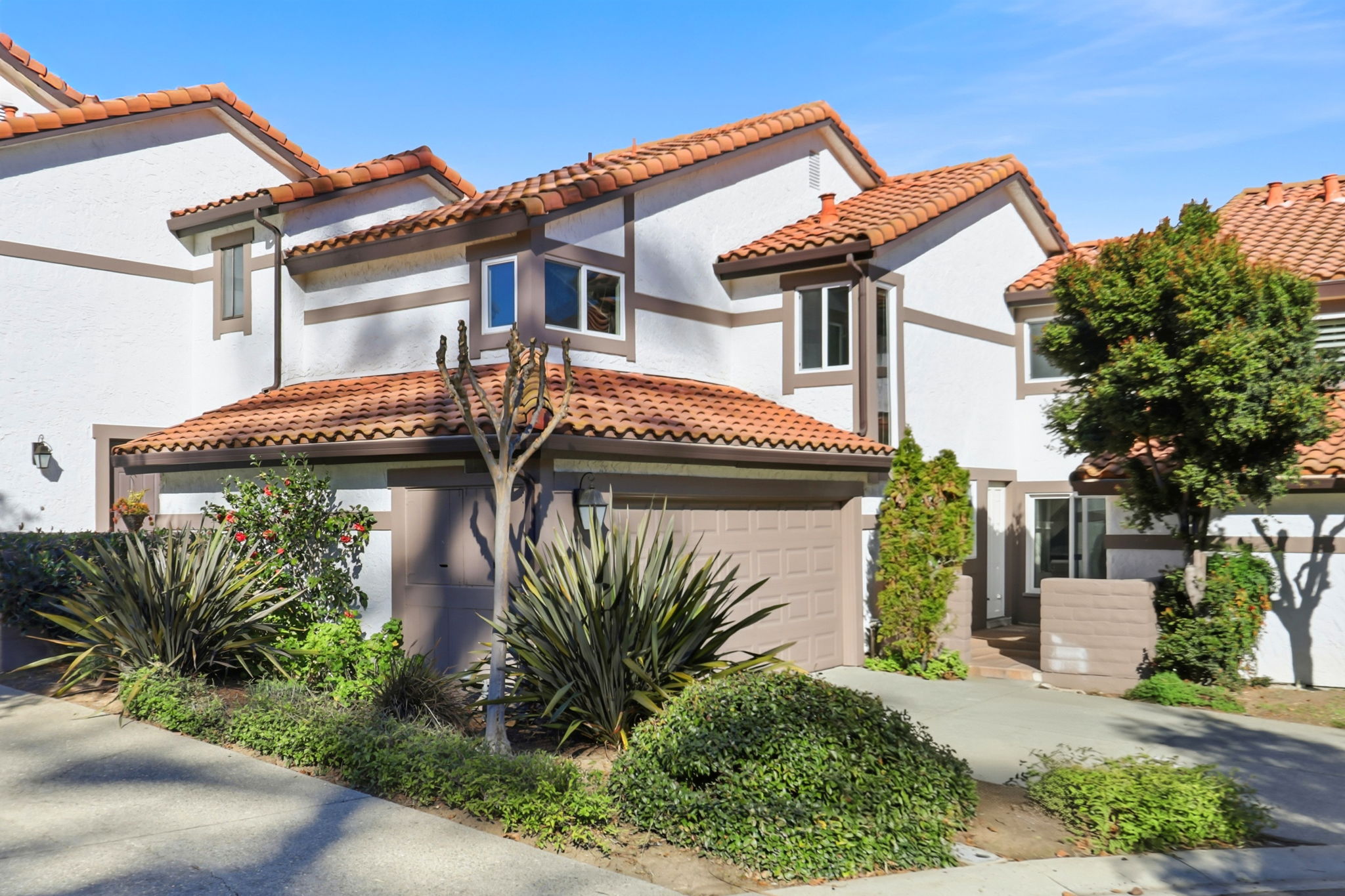 003_f8_117 El Olivar