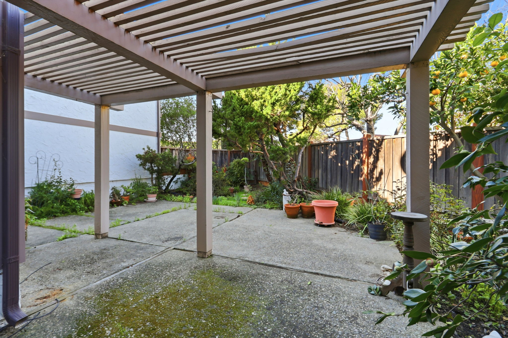 034_f8_117 El Olivar