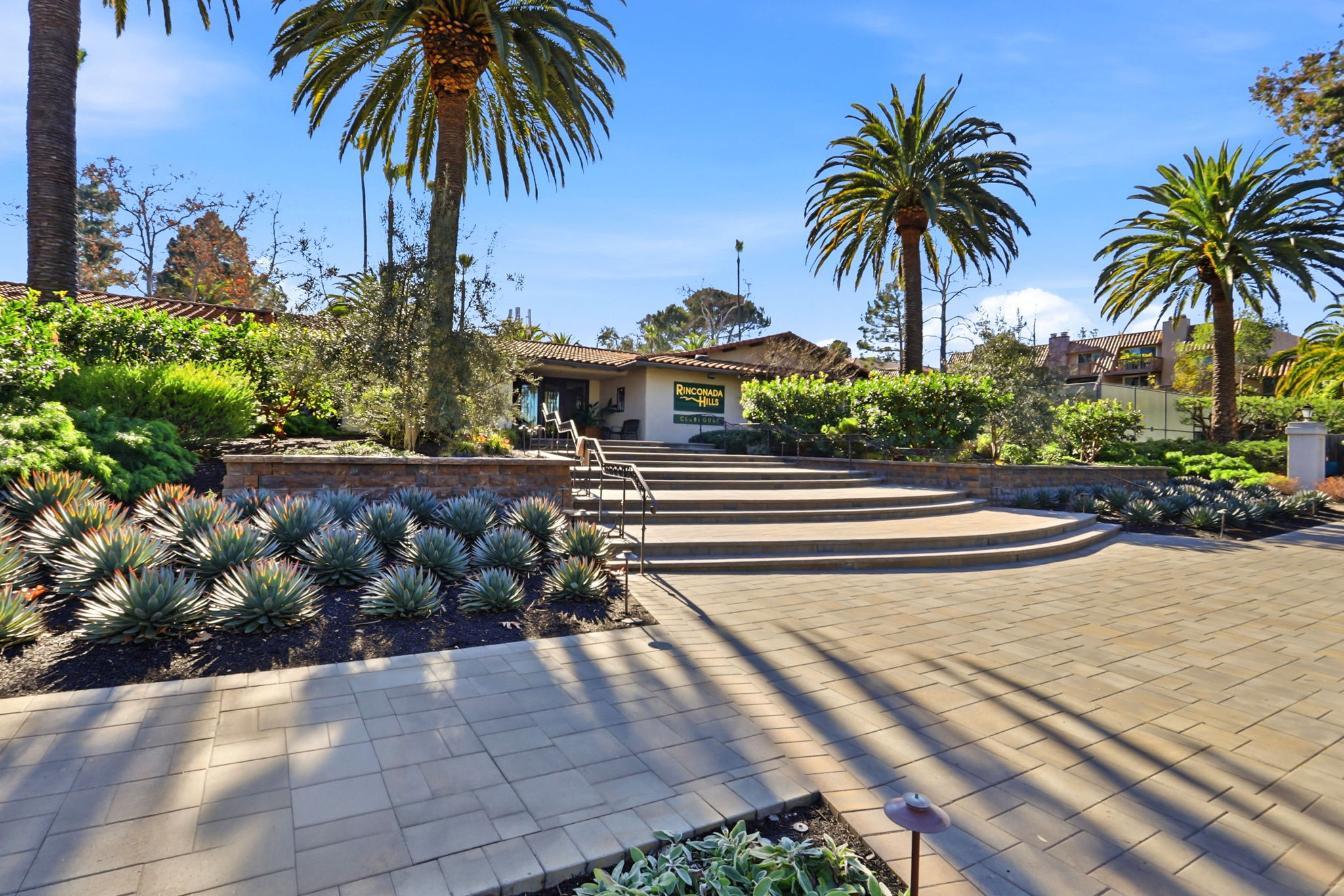 038_f8_117 El Olivar