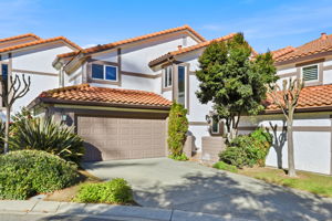 002_f8_117 El Olivar