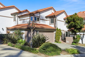 003_f8_117 El Olivar