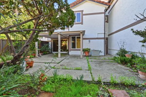 036_f8_117 El Olivar