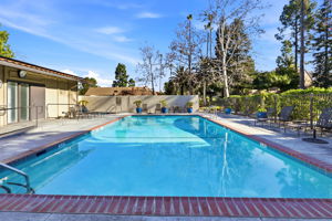 040_f8_117 El Olivar