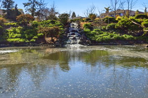 044_f8_117 El Olivar