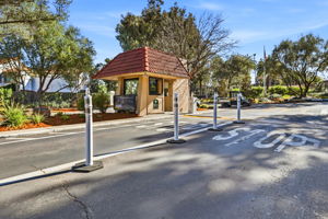 045_f8_117 El Olivar