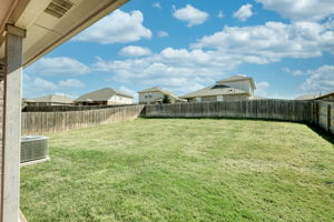 Back Yard