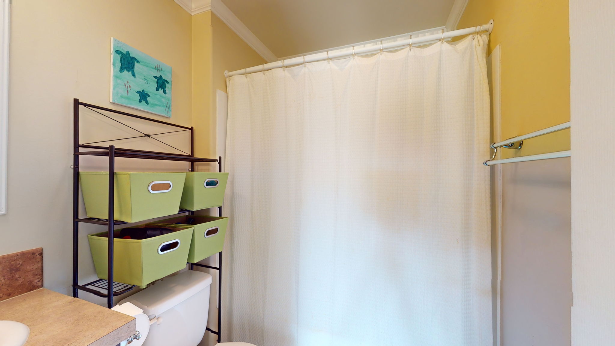 Guest Bathroom Shower