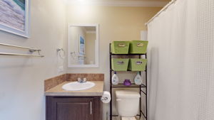 Primary Ensuite Vanity