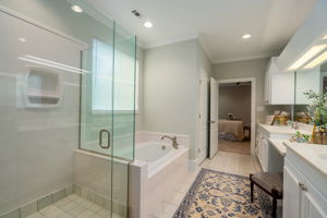 Master Bathroom View 3