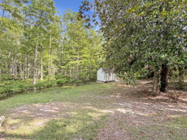 Side Yard