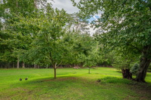  Photo 34