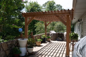  Photo 47