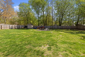 Photo 48
