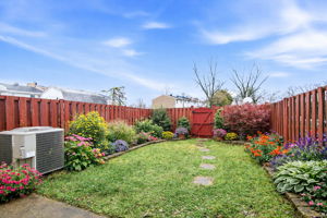 Amazing fenced-in Backyard!