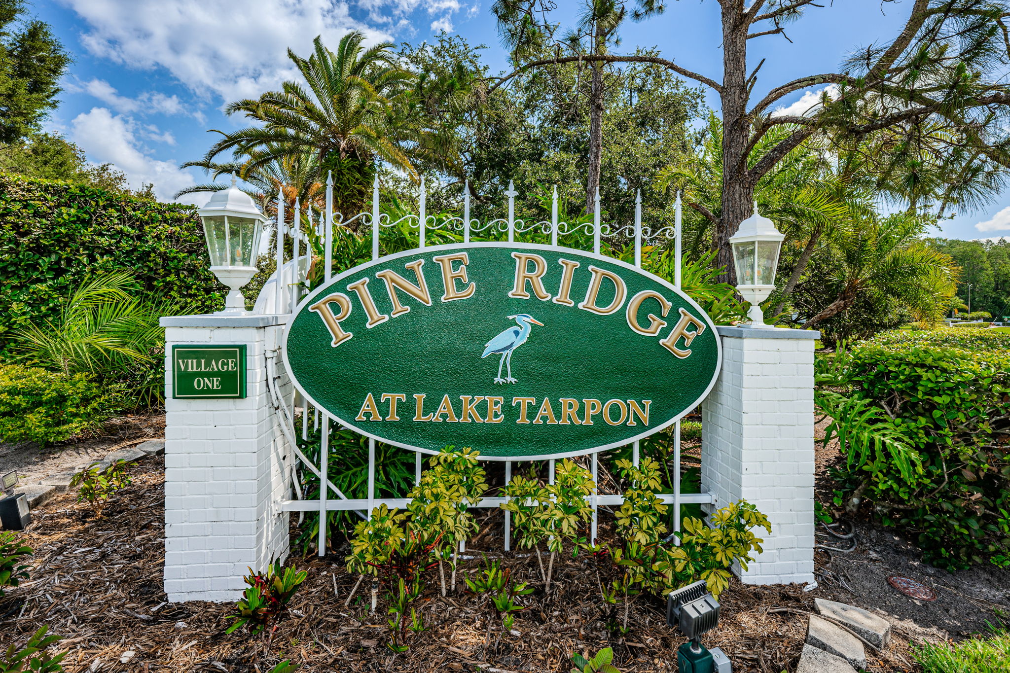 1a-Pine Ridge Lake Tarpon - Village One