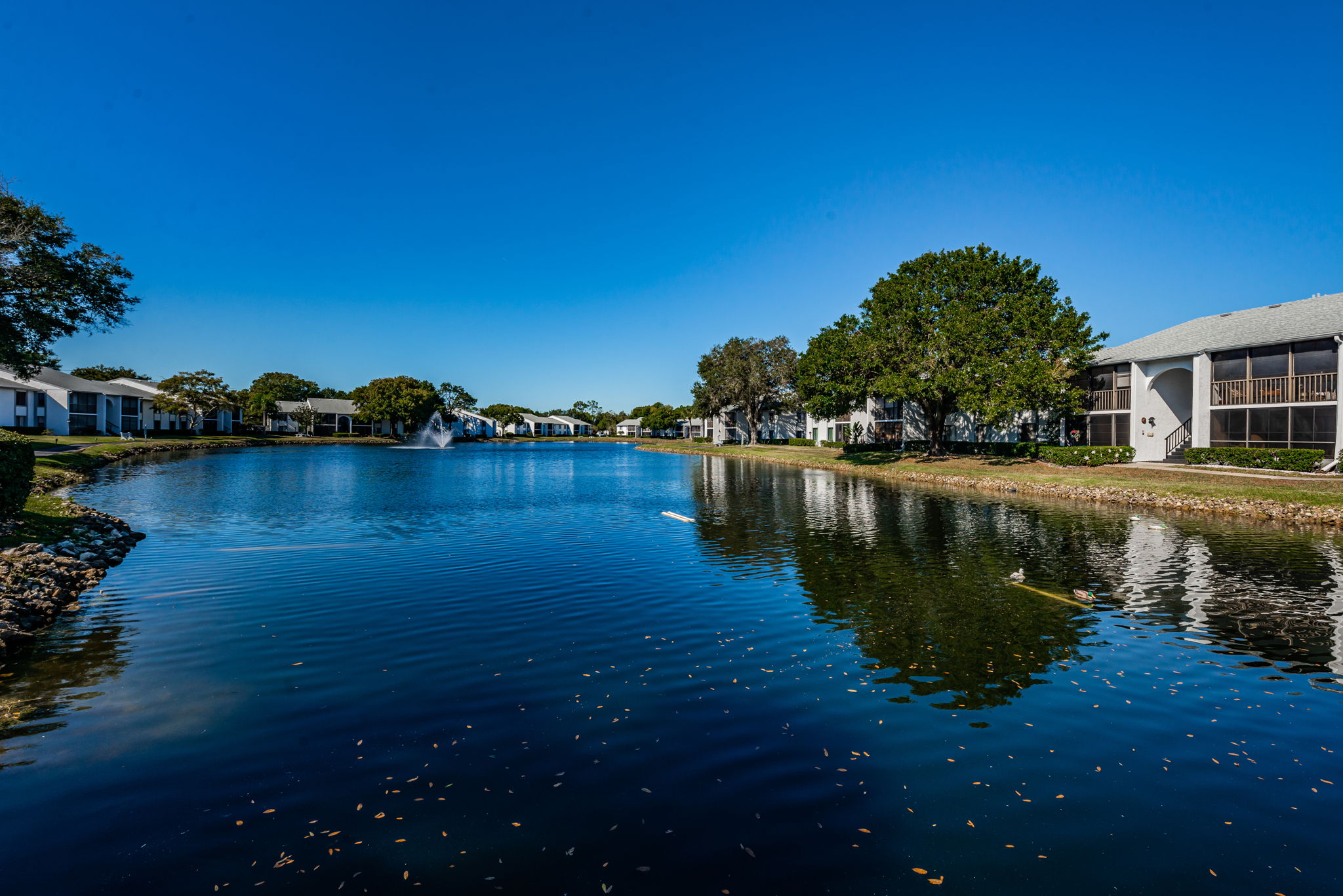 22-Pine Ridge Lake Tarpon Water View