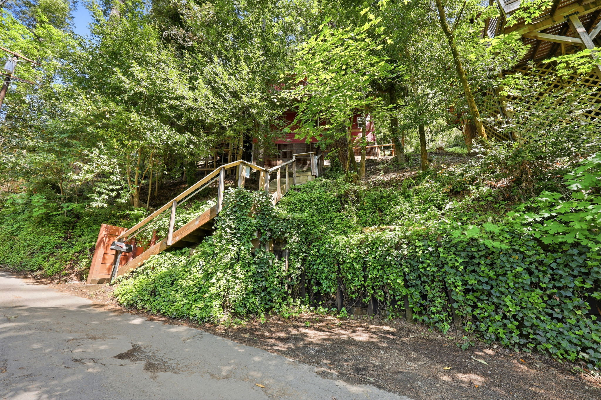  Photo 47