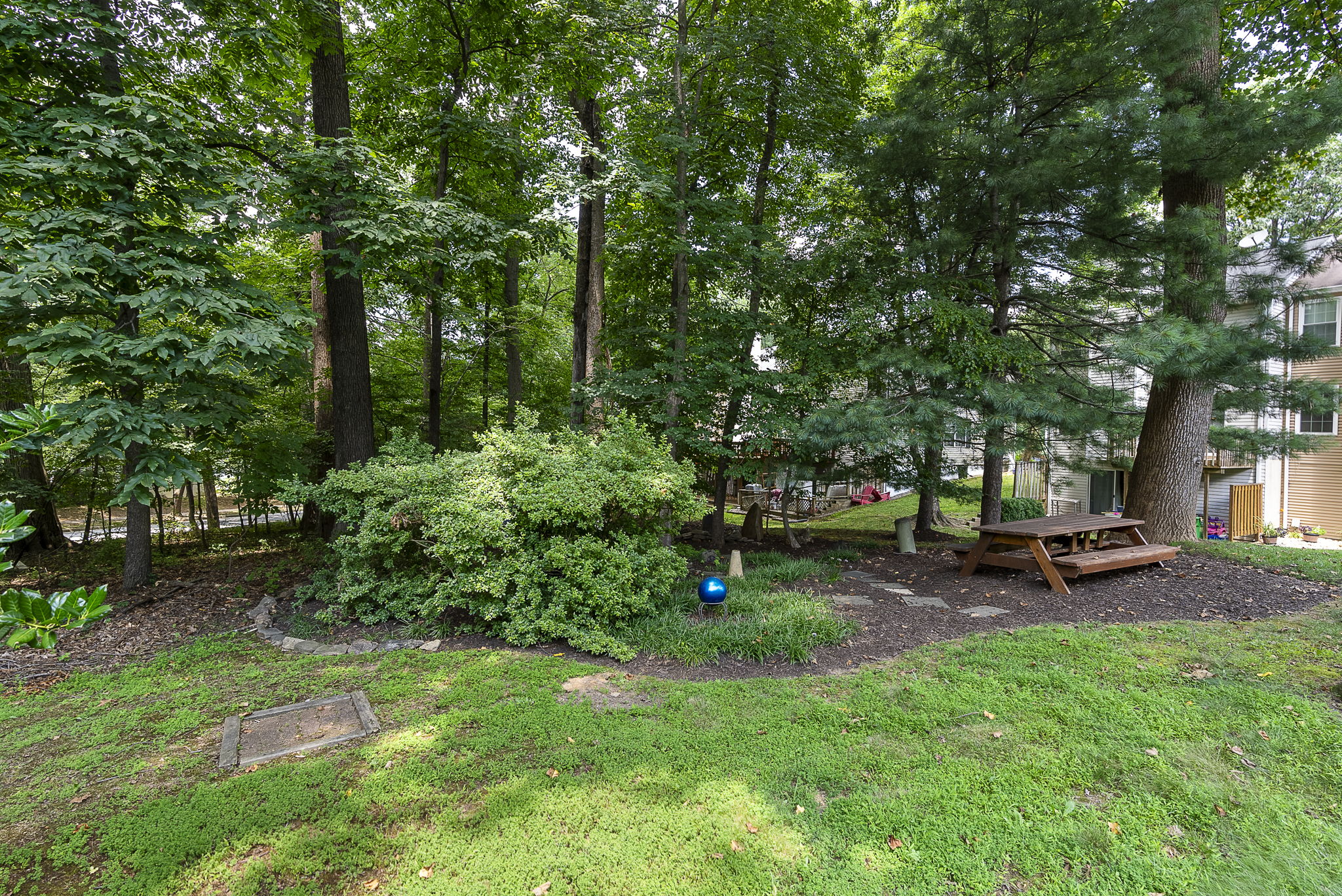 11705 Lone Tree 41