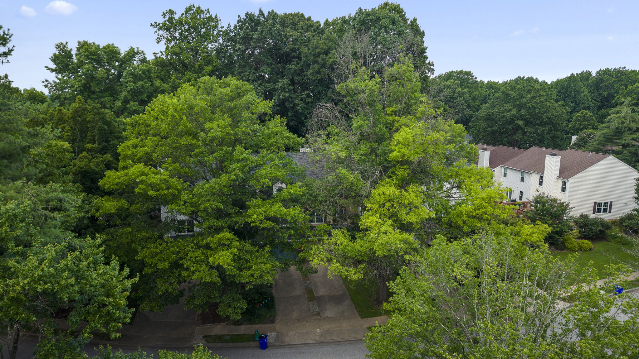 11705 Lone Tree Drone 4