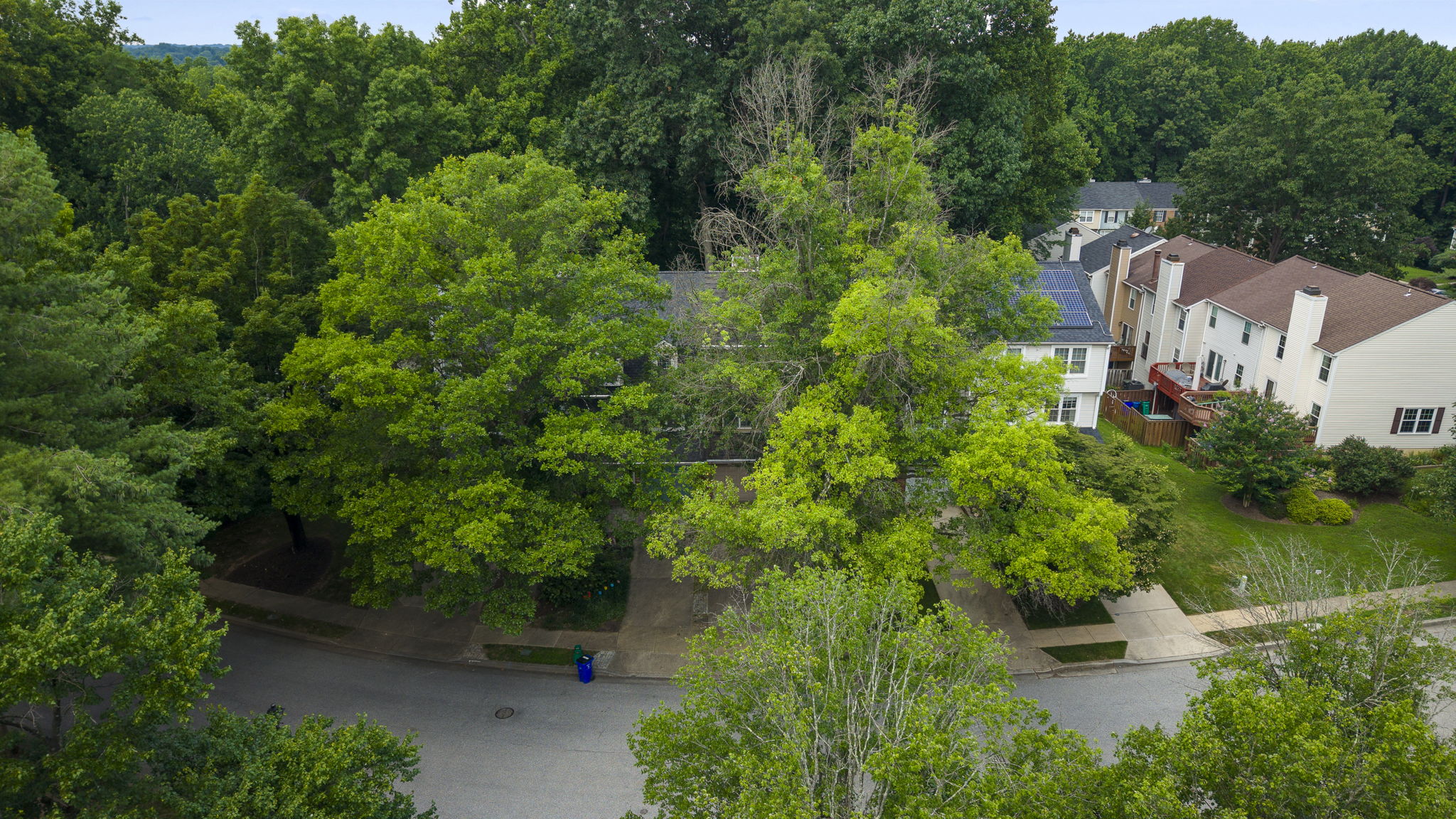 11705 Lone Tree Drone 5