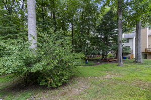 11705 Lone Tree 38