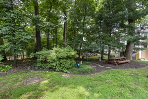 11705 Lone Tree 41