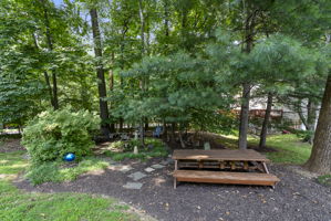 11705 Lone Tree 42