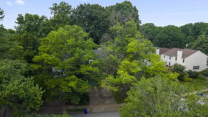 11705 Lone Tree Drone 4