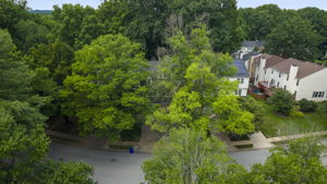 11705 Lone Tree Drone 5