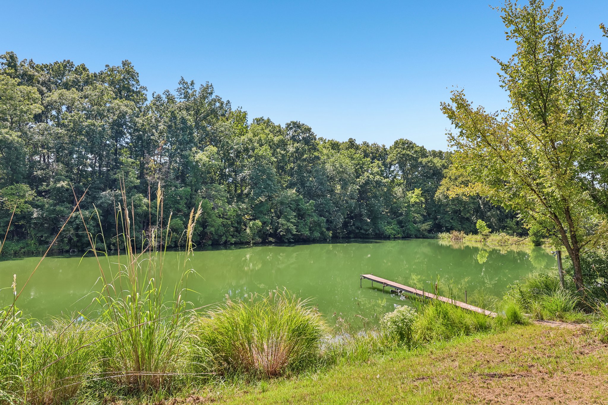 11706 Walshville Trail-S2908-068.jpg