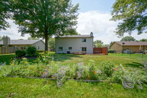  Photo 43