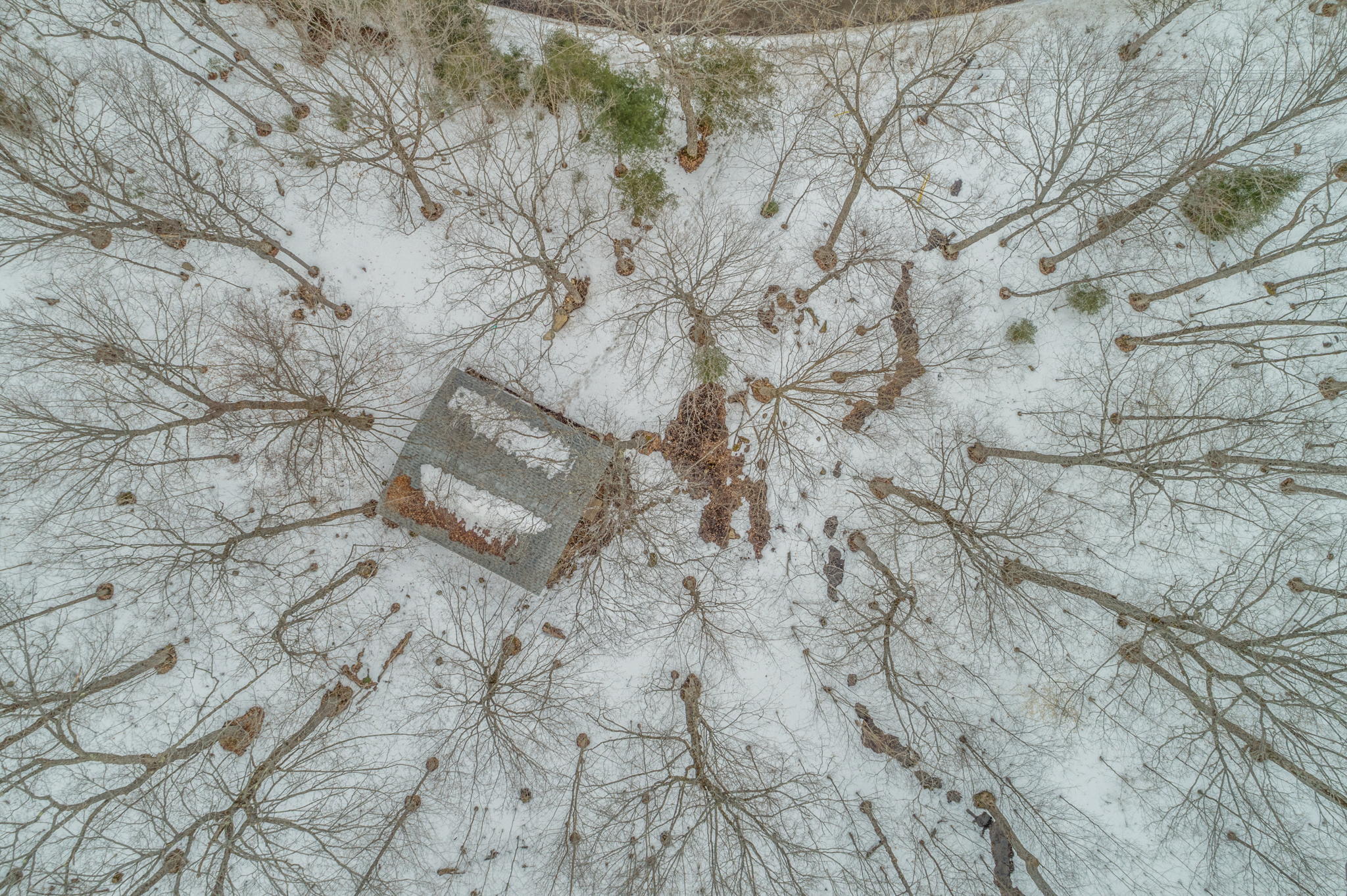 1171 Jordan Lake Rd, Highland Grove, ON K0L 2A0, Canada Photo 16