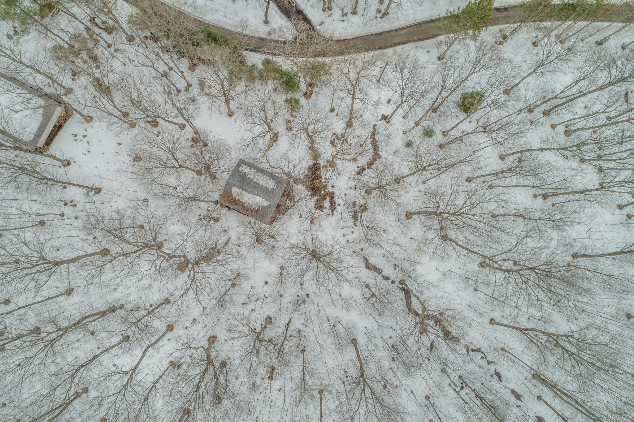 1171 Jordan Lake Rd, Highland Grove, ON K0L 2A0, Canada Photo 17