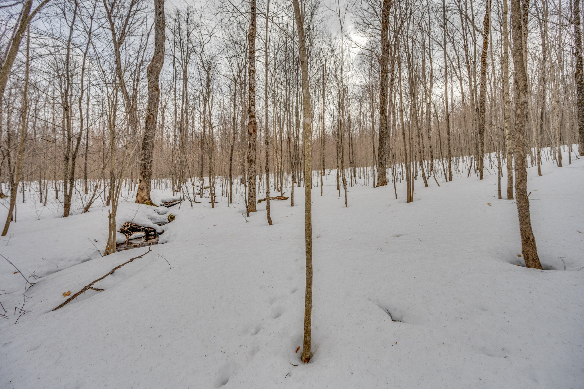 1171 Jordan Lake Rd, Highland Grove, ON K0L 2A0, Canada Photo 23