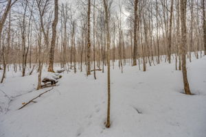 1171 Jordan Lake Rd, Highland Grove, ON K0L 2A0, Canada Photo 22